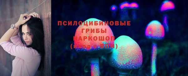 ПСИЛОЦИБИНОВЫЕ ГРИБЫ Абинск