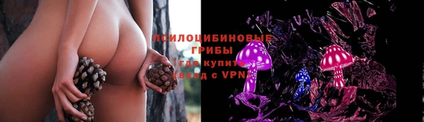 ПСИЛОЦИБИНОВЫЕ ГРИБЫ Абинск