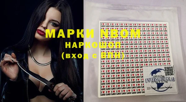сатива Абаза
