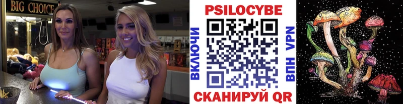 Псилоцибиновые грибы мицелий  наркотики  Власиха 