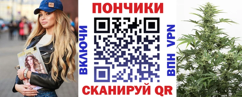 Шишки марихуана семена  Власиха 
